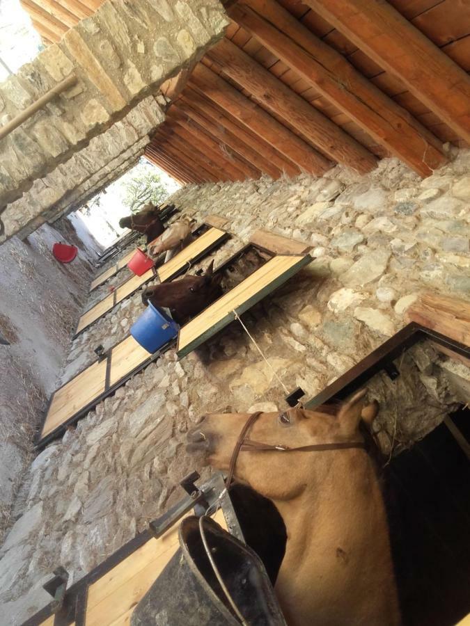 Agriturismo Al Pra Di Muriet Суза Экстерьер фото